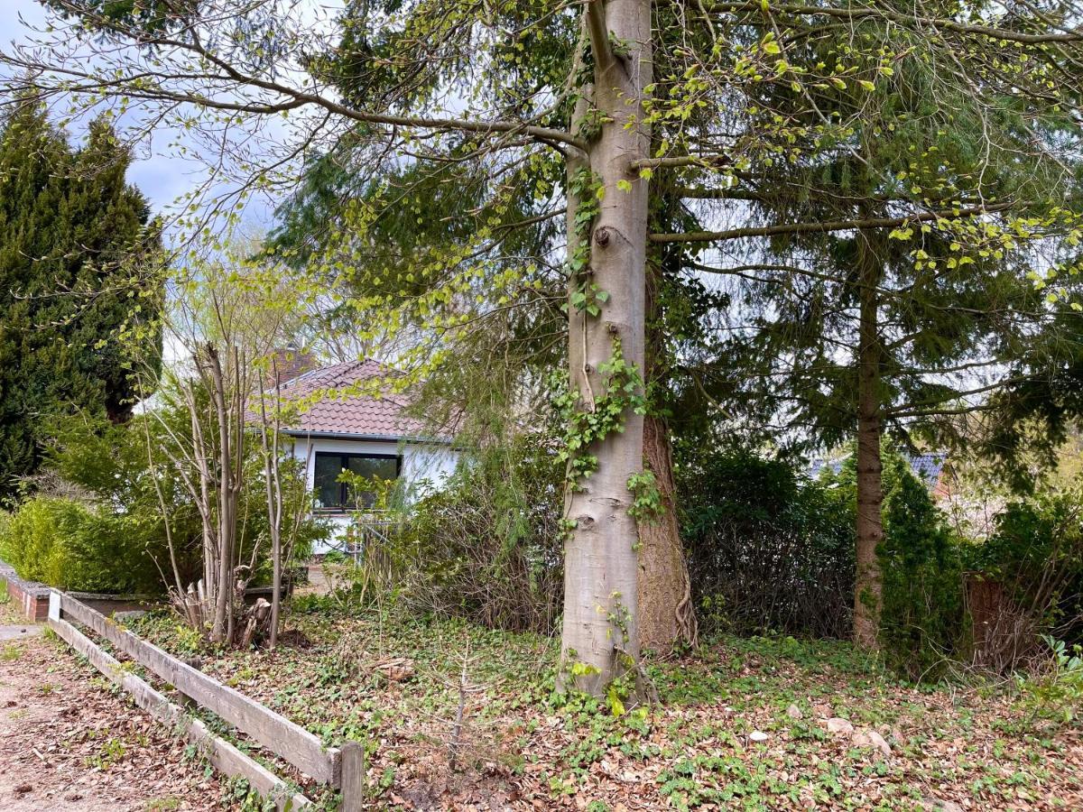 Ferienwohnung Hitzacker/Elbe Extérieur photo