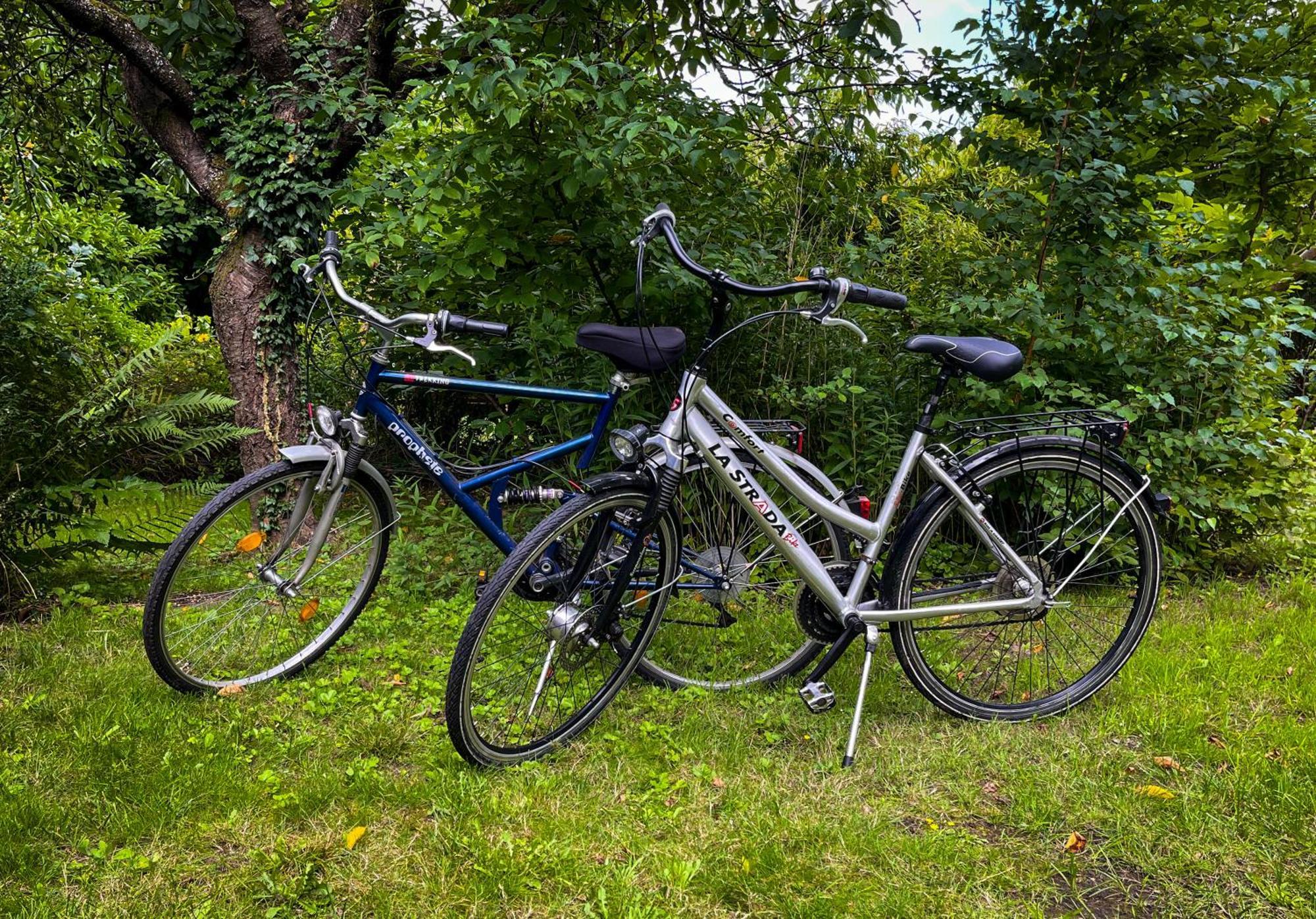 Ferienwohnung Hitzacker/Elbe Extérieur photo